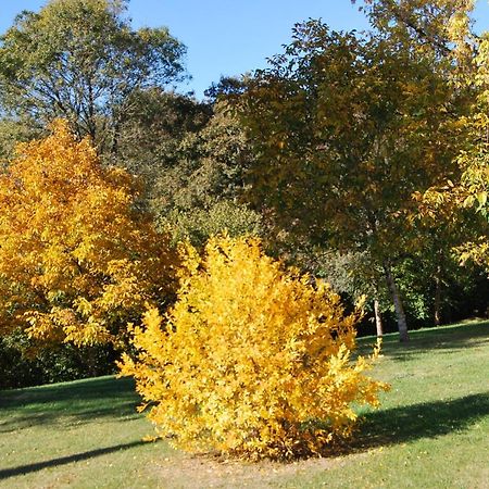 Domaine La Bastide Panzió Cleyrac Kültér fotó