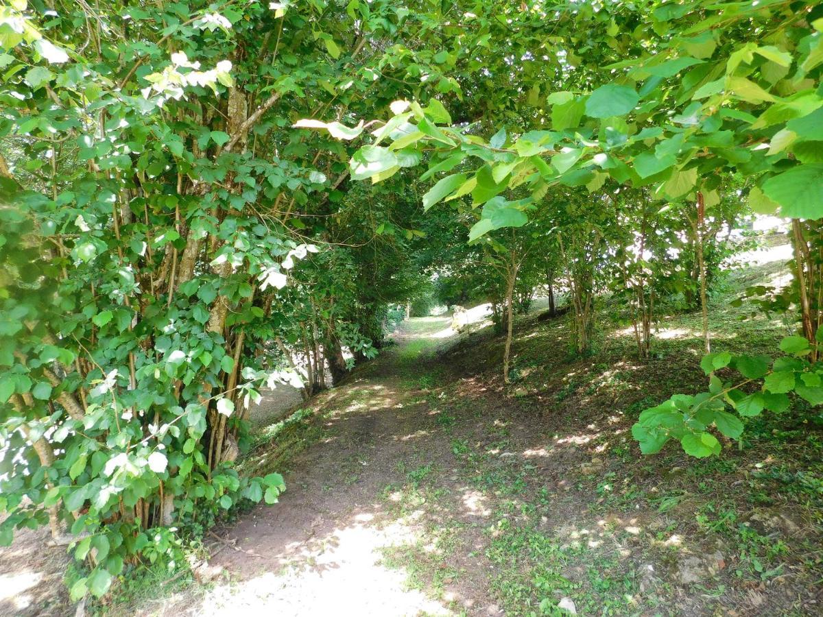 Domaine La Bastide Panzió Cleyrac Kültér fotó